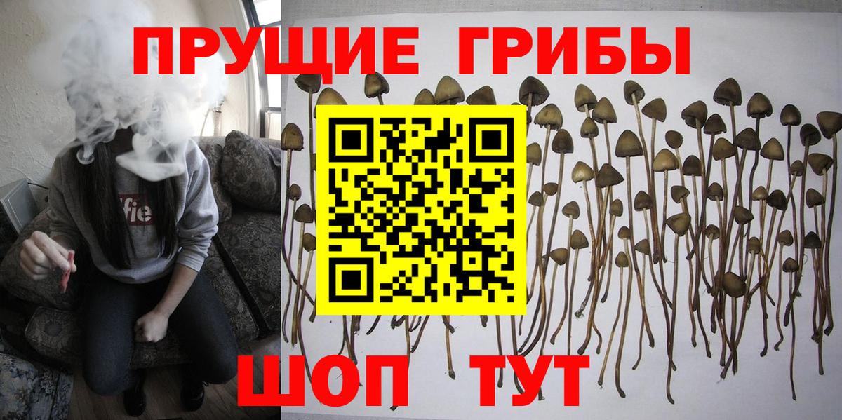 что такое наркотик  Галлюциногенные грибы прущие грибы  Вход с VPN  Урюпинск 