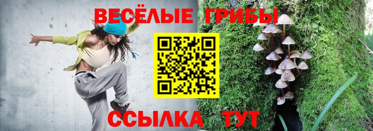 Галлюциногенные грибы Psilocybe Урюпинск